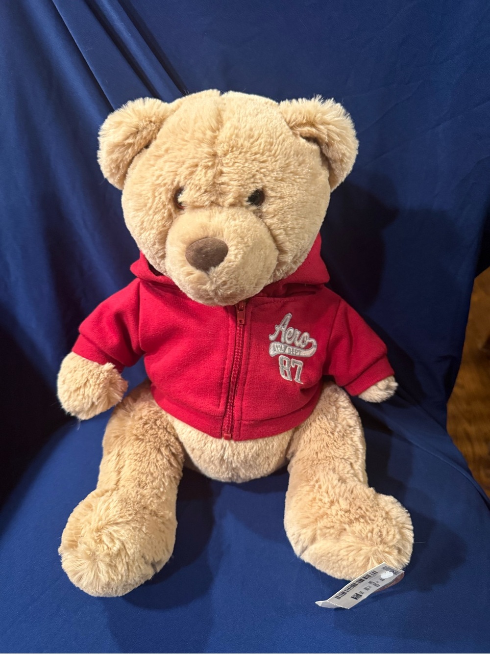 Aeropostale Teddy Bear Plush Red Hoodie 15” NWT A87